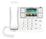 Fanvil X305 biela / IP telefón / WLAN / Bluetooth / PoE / 2 linky (X305)