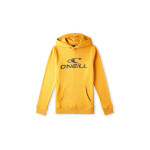 O'Neill Logo Hoodie Jr 92800615006 140