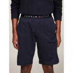 Pánske šortky JERSEY SHORT UM0UM03080DW5 Tommy Hilfiger