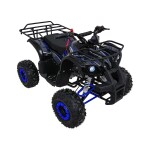 Mamido Detská benzínová štvorkolka RamiGO WILDPEAK 110CC čierno-modrá