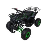 Mamido Detská benzínová štvorkolka RamiGO WILDPEAK 110CC čierno-zelená