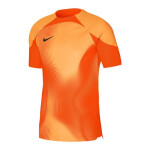 Pánske brankárske tričko Dri-FIT ADV Gardien DH7760-819 Nike