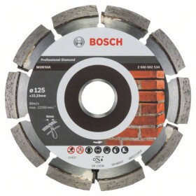 Bosch Accessories 2608602534 Bosch diamantový rezný kotúč Priemer 125 mm 1 ks; 2608602534