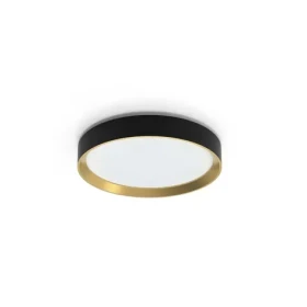 Philips HANNO 24W čierna / LED stropné svietidlo / O38, 4cm / 2800lm / 4000K / IP20 (929004115901)