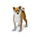 Safari Ltd. Safari Ltd. Figúrka - Shiba Inu