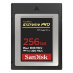 SanDisk Extreme PRO (SDCFE-256G-GN4NN)