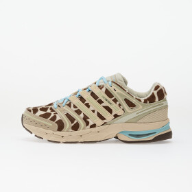 Tenisky adidas Adistar Control 5 W Crli/ Icgome/ Ice Blue EUR 39 1/3
