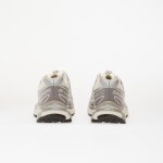 Tenisky Salomon XT-6 Vanilla Ice/ Ftw Silver/ Lilaca EUR 39 1/3