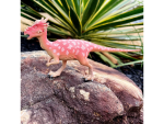 Safari Ltd. Safari Ltd. Figúrka - Stygimoloch
