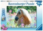 Ravensburger Kôň dielikov