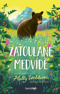 Zatoulané medvídě, Webbová Holly