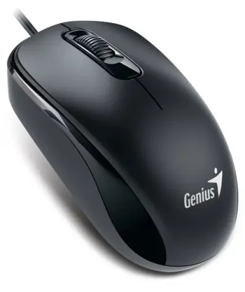 Genius DX-110 čierna / drôtová / 1200 dpi / USB-C (31010028401)