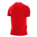 Pánske polo tričko Park 20 M CW6933 657 - Nike XXXL