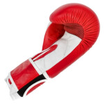 Kožené boxerské rukavice MASTERS RBT-TRW 01210-02 modrá