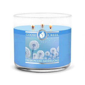 Goose Creek - Práve odtrhnuté púpavy Aromatická sviečka v skle 411 g