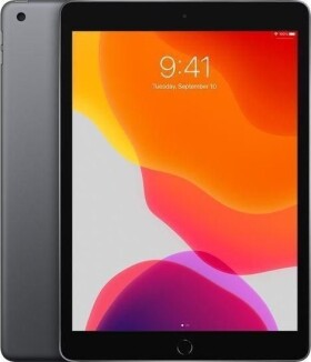 Apple Refurbished Grade B iPad 7th Gen Wi-Fi 32GB Čierno-sivá 2DG