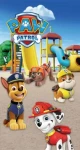 Carbotex Paw Patrol BRM015371 osuška farebná 70x140