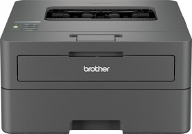 Brother HL-L2442DWYJ1