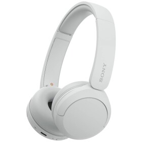 Sony WH-CH520